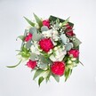 A vibrant, full bouquet is photographed from directly above against a spotless white background, allowing every colour and texture to stand out clearly. At the heart of the design, rich hot pink carnations with deeply ruffled petals form plush, rounded clusters, their frilled edges catching the light and adding a sense of movement. Nestled among them are deep pink and fuchsia roses, some fully unfurled to reveal classic spiralled centres, others still in tighter bud, suggesting new blooms yet to come. Between the bold pinks, small white spray chrysanthemums and daisy-like blossoms create soft, cushiony patches of brightness, while tiny white stars of baby's breath weave delicately through the arrangement, giving a misty, cloudlike feel. A few slender white buds, reminiscent of alstroemeria or lily blooms, rise gracefully from the mix, introducing a quiet, elegant note. Surrounding and supporting the flowers is an abundance of greenery: rounded, silvery-green eucalyptus leaves stretch out with a cool, matte sheen, contrasting with longer, brighter green blades and sturdy, darker leaves carefully folded to form a neat collar. This structured foliage frame makes the arrangement appear both polished and generous. The overall effect is joyful, modern, and fresh, like a celebratory bouquet ready to be carried along New Cross Road to a birthday lunch or a simple 'thinking of you' visit. The image feels airy and uplifting, the crisp white backdrop echoing the clean lines of local apartments and studios near Telegraph Hill, while the floristry craftsmanship suggests a hand-tied design prepared with care for same-day delivery across New Cross and its neighbouring streets.